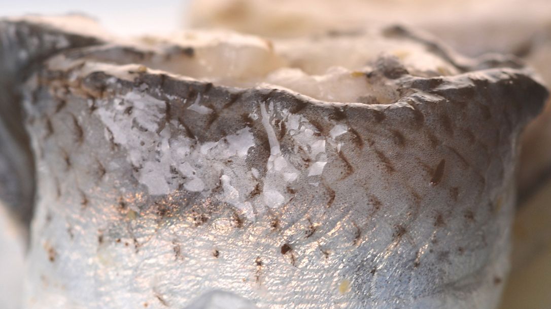 W czym moczyć śledzie?