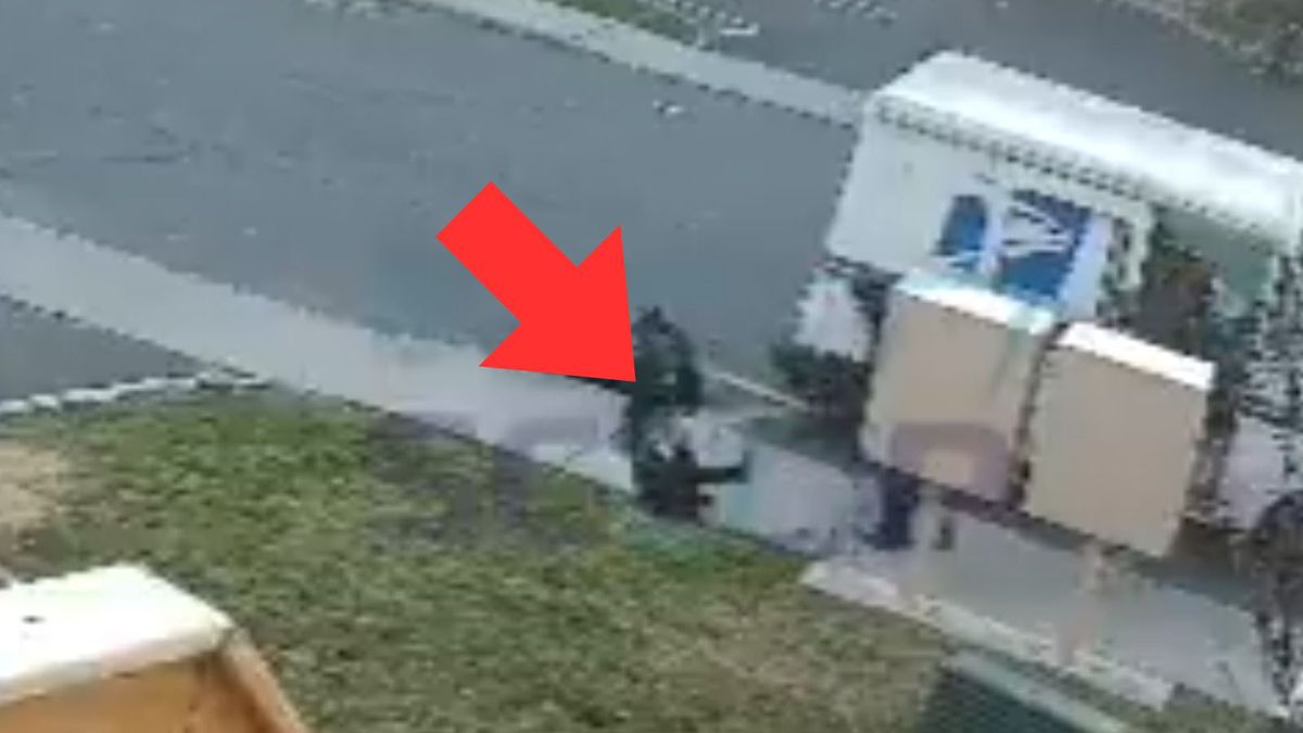 USA: Czterolatek zaatakowany przez pracownika poczty