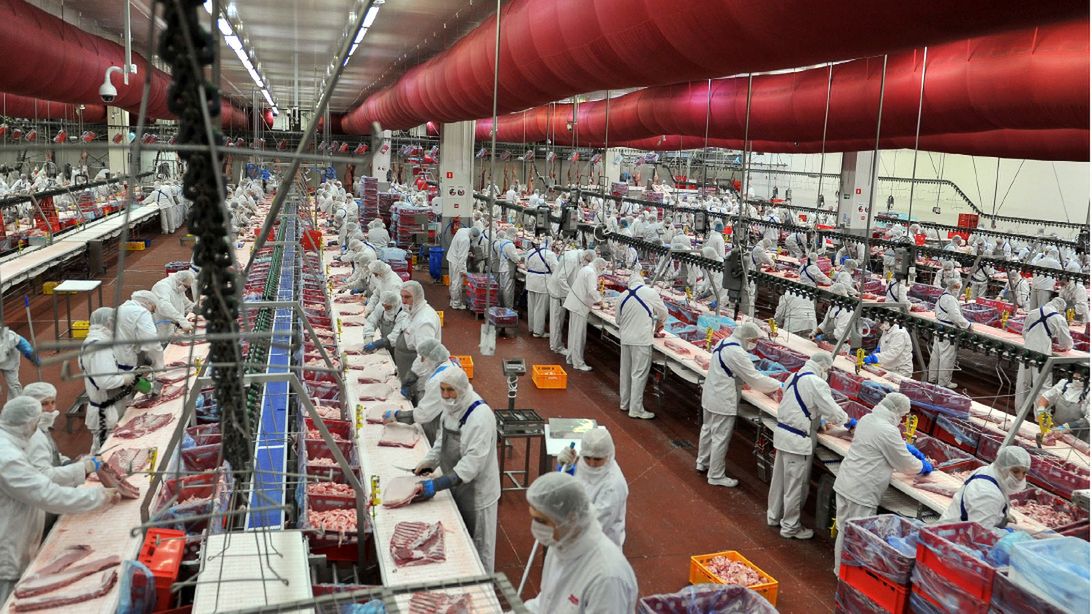 Zakład preztwórstwa mięsnego Pini Polonia.