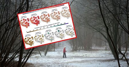 Długoterminowa prognoza. Kolejna fala ciepła