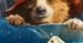 "Paddington" już na płytach DVD