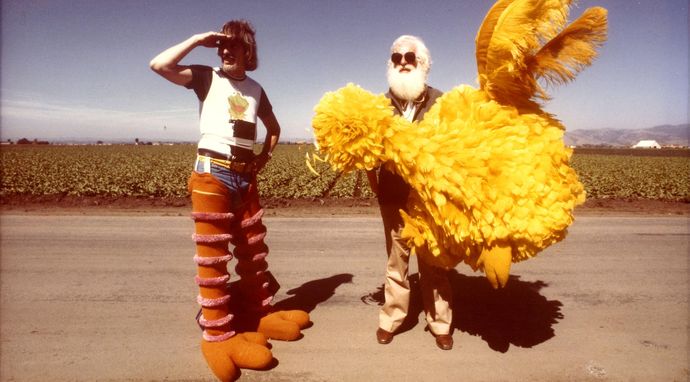 I Am Big Bird