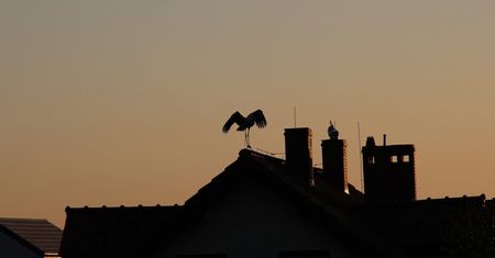 Nowy obowiązek właścicieli domów! Są kłopoty z jego wykonaniem