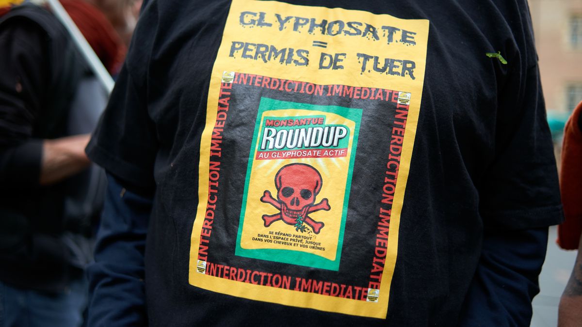 A man wears a shirt with a drawing opposing RoundUp by Bayer during a gathering in Toulouse, France, on April 11, 2026. People and activists from Confederation Paysanne, Eau Secours 31, Generations Futures, LDH, and other collectives organize the event to protest against a new law proposal by Renaissance party member Laurent Duplomb. The proposal seeks to authorize certain products for use in farming, such as neonicotinoids and pesticides, and suggests removing the precautionary principle from the French constitution in favor of an 'innovation principle.' The initial proposal was rejected by the Constitutional Council. Laurent Duplomb is also a farmer. (Photo by Alain Pitton/NurPhoto via Getty Images)