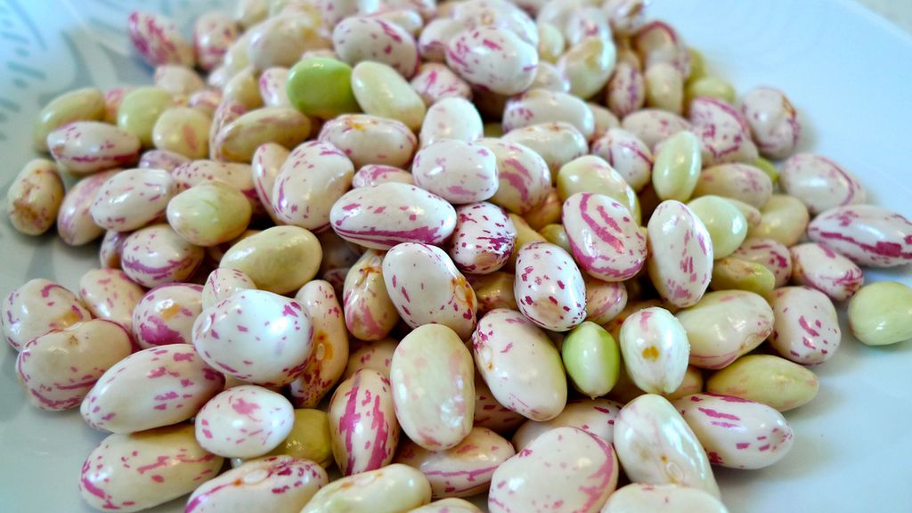 Surowa fasola żurawinowa