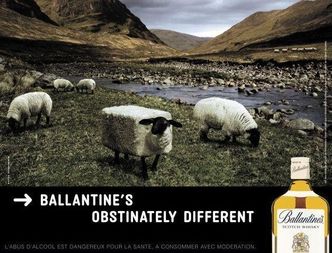 Reklama alkoholu. Jak i po co promować napoje wyskokowe?