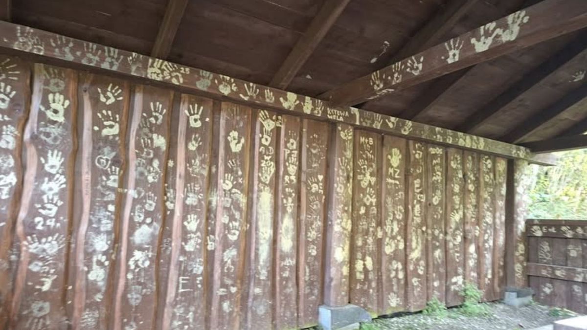 Wiata przy Sinych Wirach została przyozdobiona ekografitti 