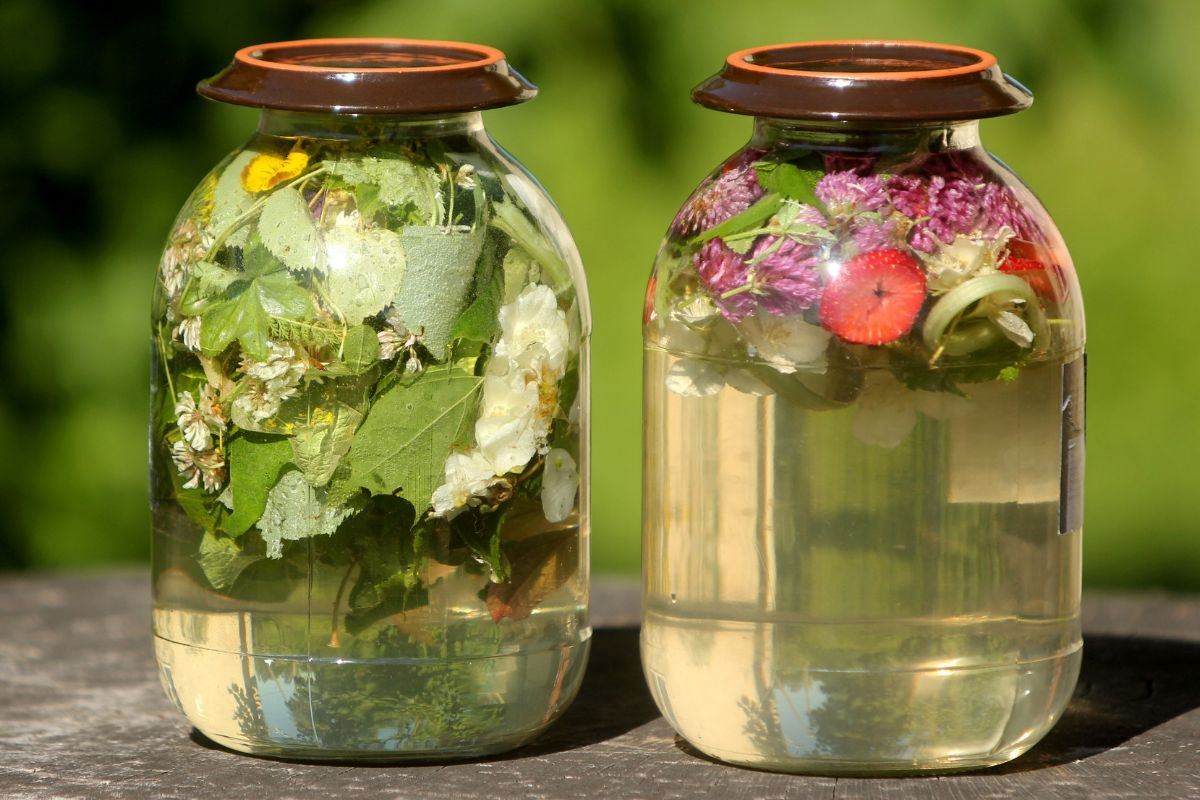 Surica to połączenie miodu, ziół i owoców