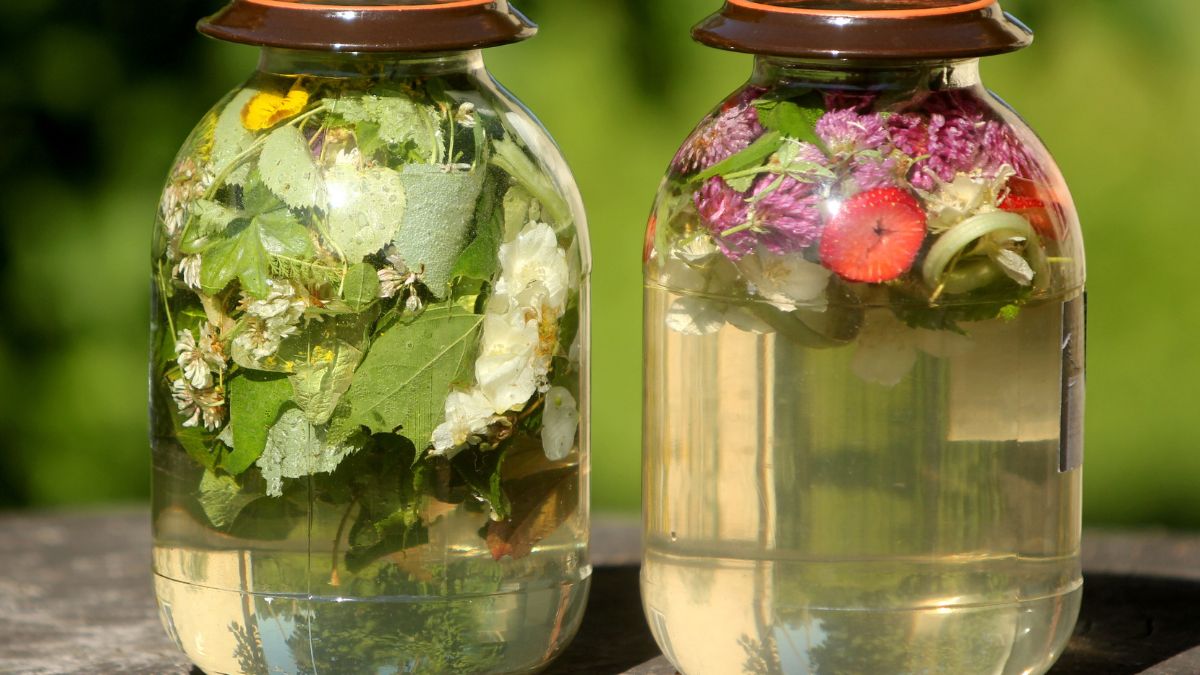 Surica to połączenie miodu, ziół i owoców