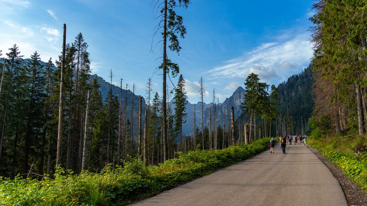 Prace prowadzone są m.in. na szlaku prowadzącym do Morskiego Oka