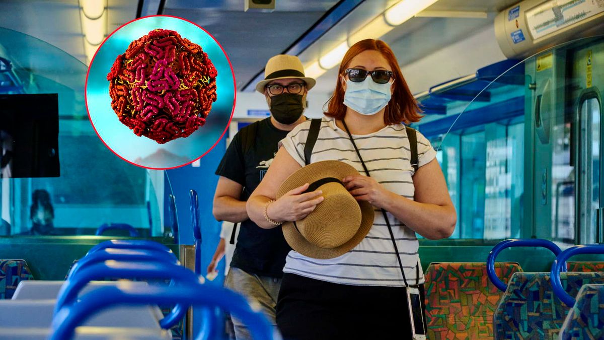 Gorączka Zachodniego Nilu coraz bliżej Polski