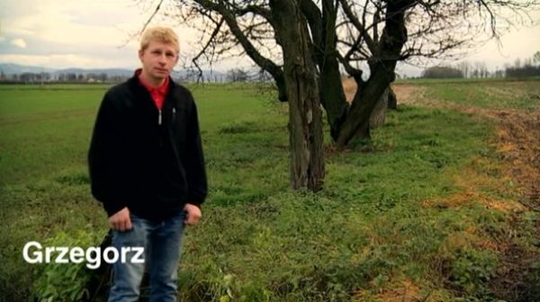 Obraz