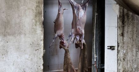 Rusza konkurs Sony World Photography Awards 2011