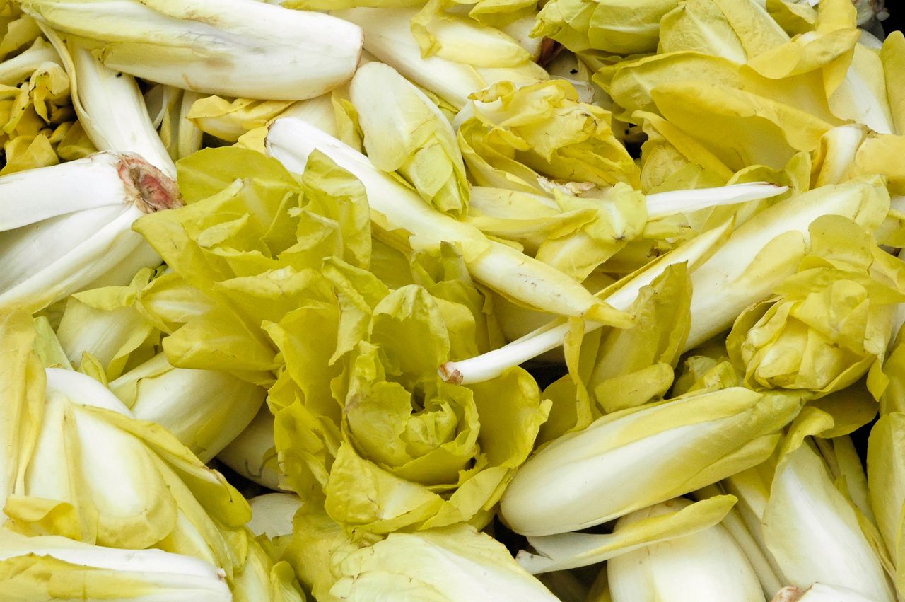 Endive: The winter delight for health-conscious gourmets