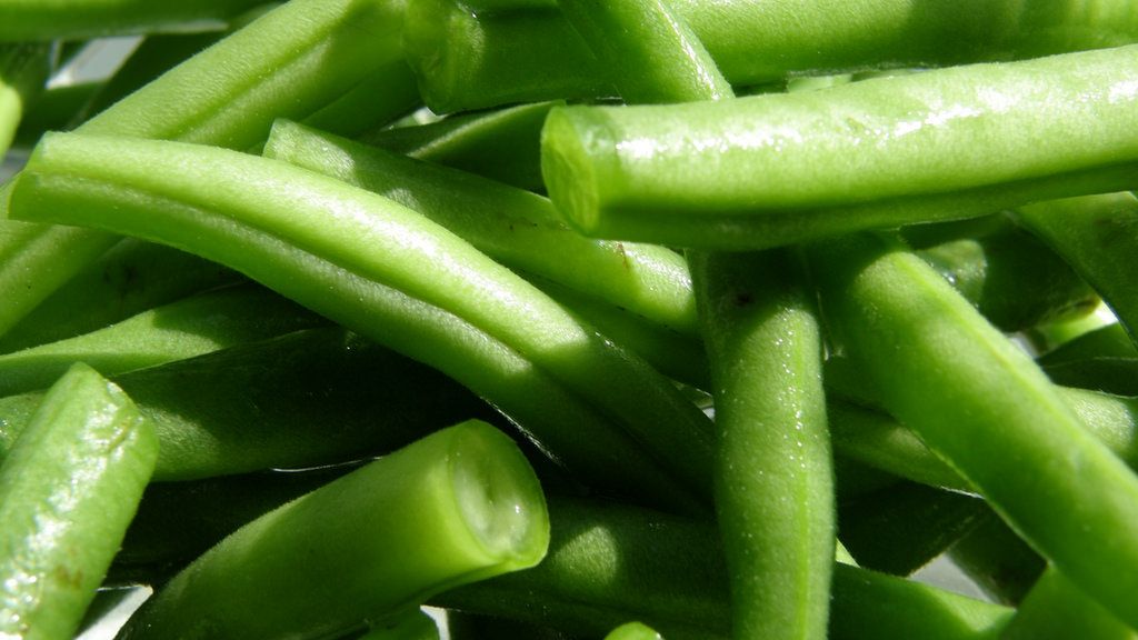 Surowa zielona fasolka