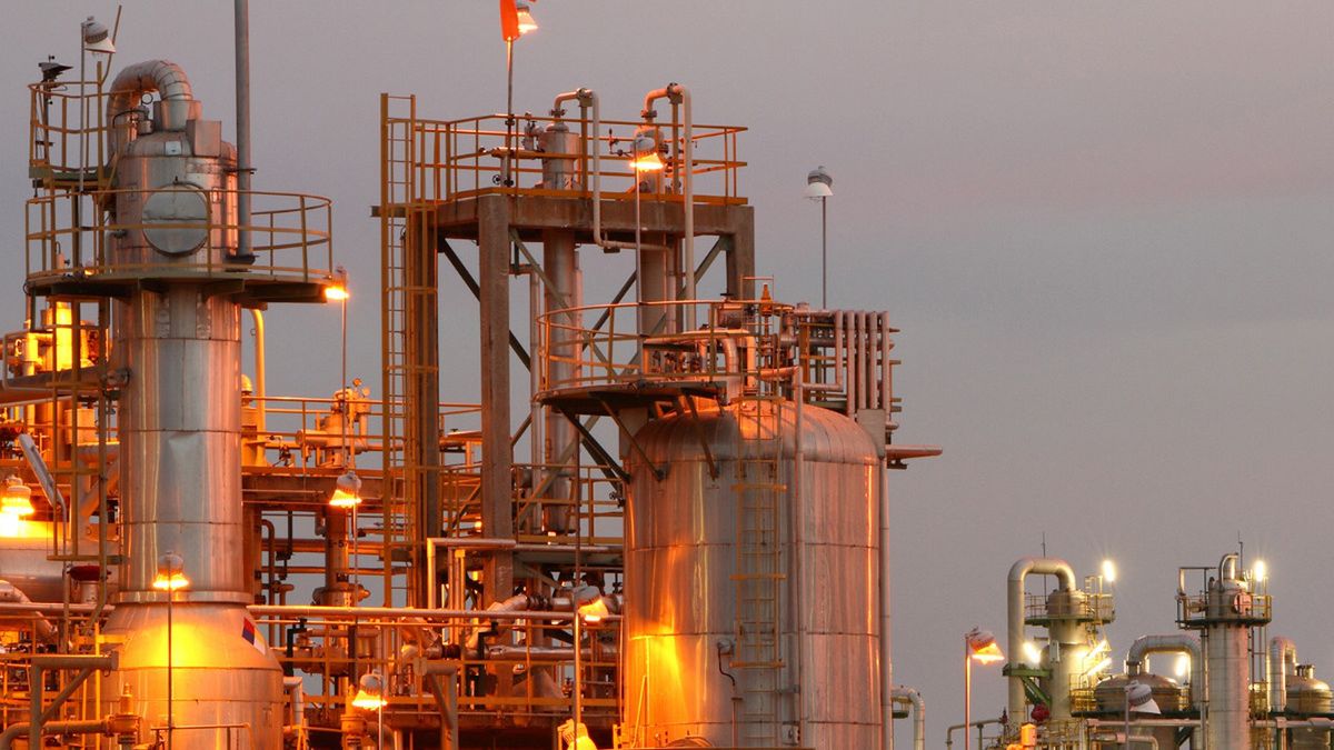 fot. Materiały prasowe.