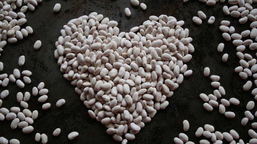 Każda z odmian fasoli to źródło białka roślinnego