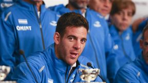 Juan Martin del Potro pokonał w pokazówce Davida Ferrera