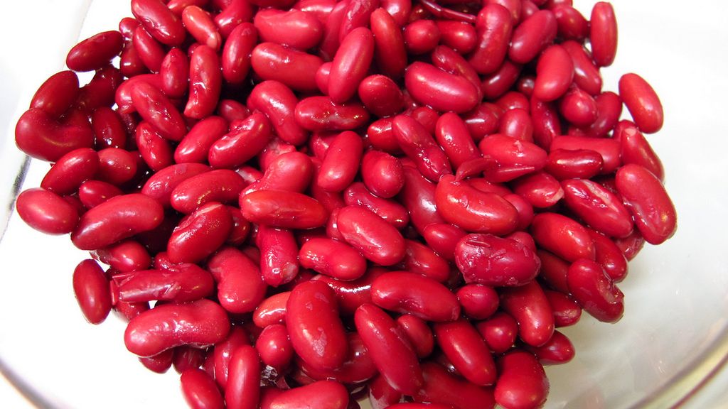 Fasola nerkowata w puszce