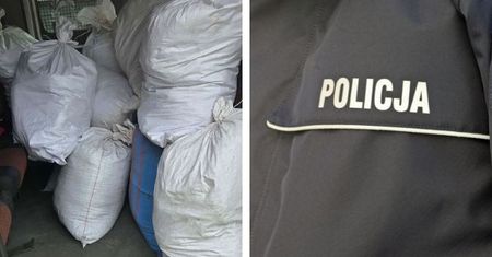 Nielegalny tytoń wart niemal pół miliona złotych. Policja z Płocka zabezpieczyła 364 kilogramy wyrobów tytoniowych