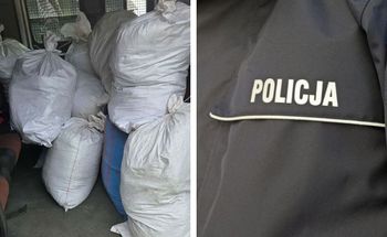 Nielegalny tytoń wart niemal pół miliona złotych. Policja z Płocka zabezpieczyła 364 kilogramy wyrobów tytoniowych