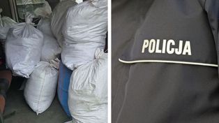 Nielegalny tytoń wart niemal pół miliona złotych. Policja z Płocka zabezpieczyła 364 kilogramy wyrobów tytoniowych