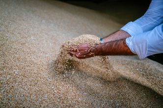 Minister infrastruktury Ukrainy o blokadzie granicy. "Musimy znaleźć alternatywne drogi"