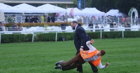 Incydent na Torze Służewiec. Aktywiści w akcji
