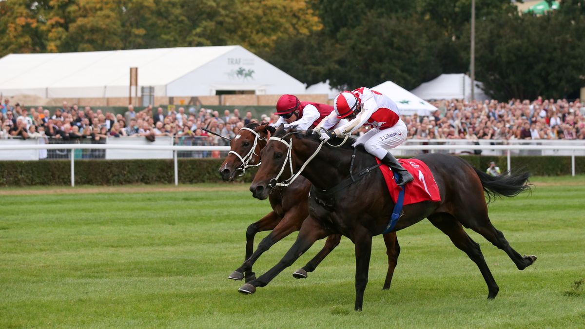 Newspix / Piotr Kucza / Jeździectwo