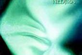 Pierwsza powieść erotyczna napisana przez Arabkę: Nedjma Migdał