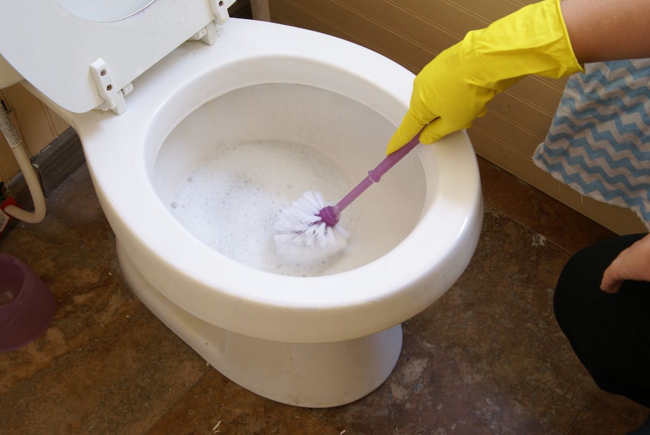 Pour it on the toilet brush - that's how you remove stains