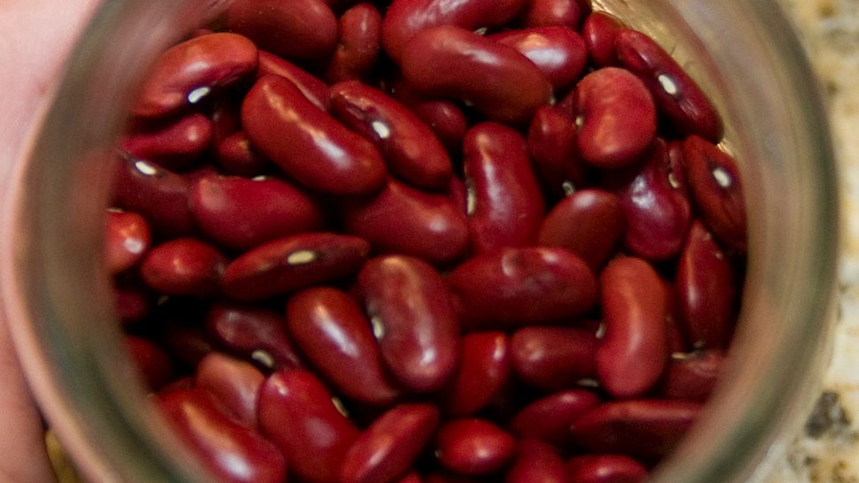 Czerwona fasola nerkowata w puszce (produkt i płyn)
