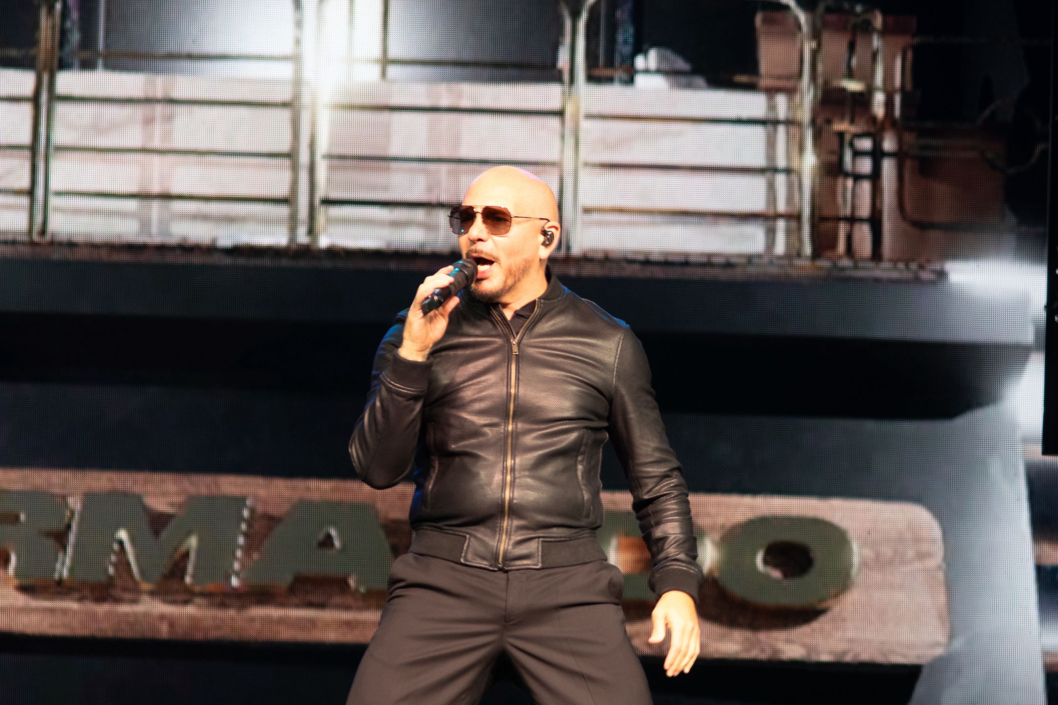 Pitbull
