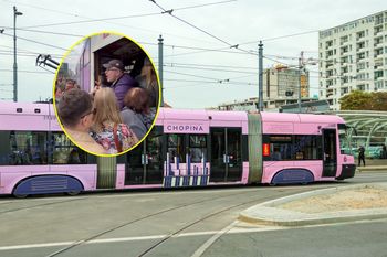 Po Warszawie jeździ specjalny tramwaj. Turyści kłócili się i przepychali, by do niego wsiąść
