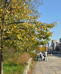 Warszawa. Nowa ulica Grochowska. Każdy może mieć wpływ na zmiany