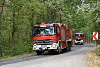 Runowo Krajeńskie: Podczas wycinki drzew gałąź spadła na pilarza. Mężczyzna nie żyje