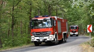 Runowo Krajeńskie: Podczas wycinki drzew gałąź spadła na pilarza. Mężczyzna nie żyje