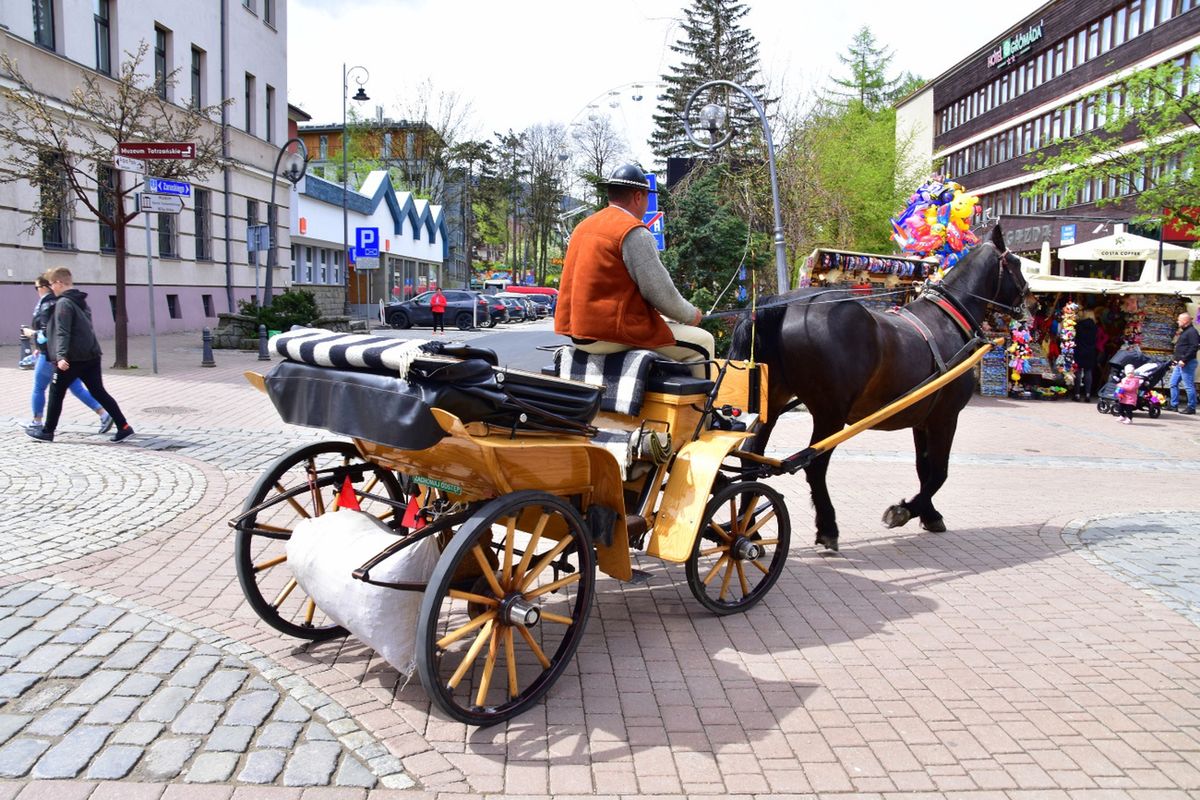 Zakopane zapowiada podwyżkę opłat za wywóz śmieci