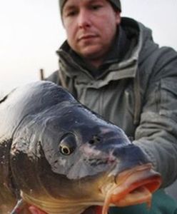 Ile zarobi pakowacz prezentów, ile sprzedawca karpi?