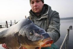 Ile zarobi pakowacz prezentów, ile sprzedawca karpi?