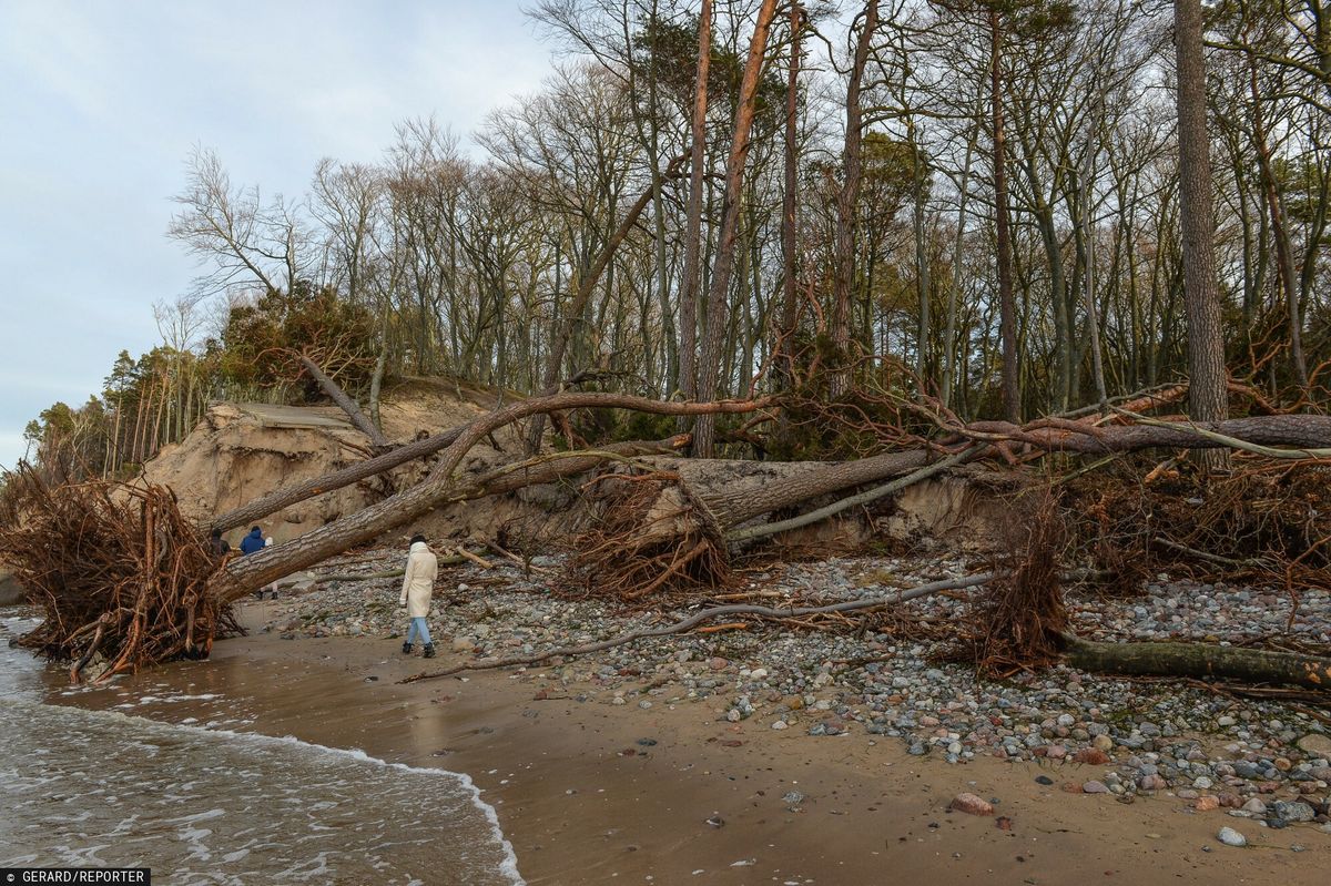 #JedziemyWPolskezima, bałtyk, sztorm, zmiany klimatyczne Konsekwencja zmian klimatu. Lód będzie zjawiskiem coraz rzadszym