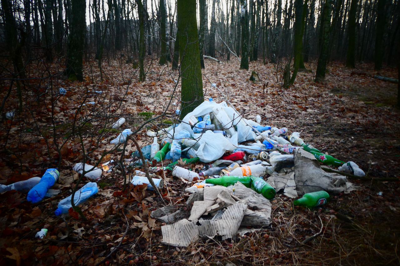 Zaczyna się od papierka po lodach. Kończy na kontenerach gruzu. Lasy wciąż toną w śmieciach