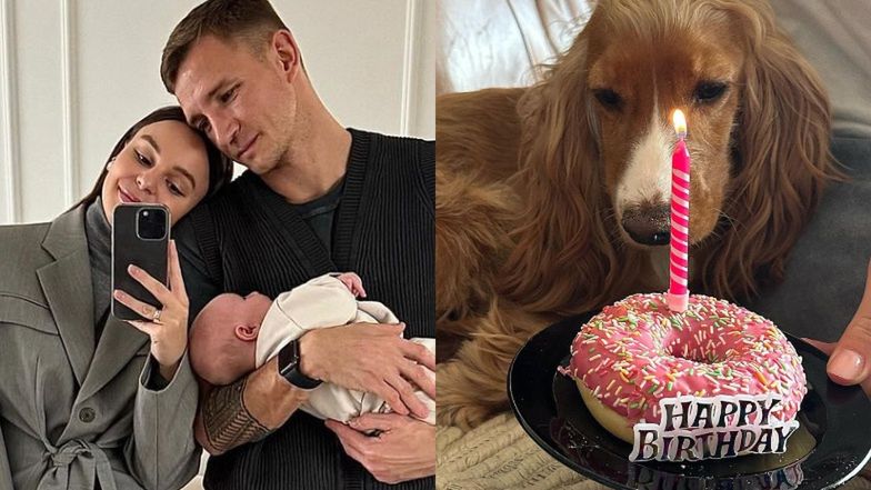 Kolejna AFERA pod postem Rzeźniczaków. Poszło o... PĄCZKA dla psa