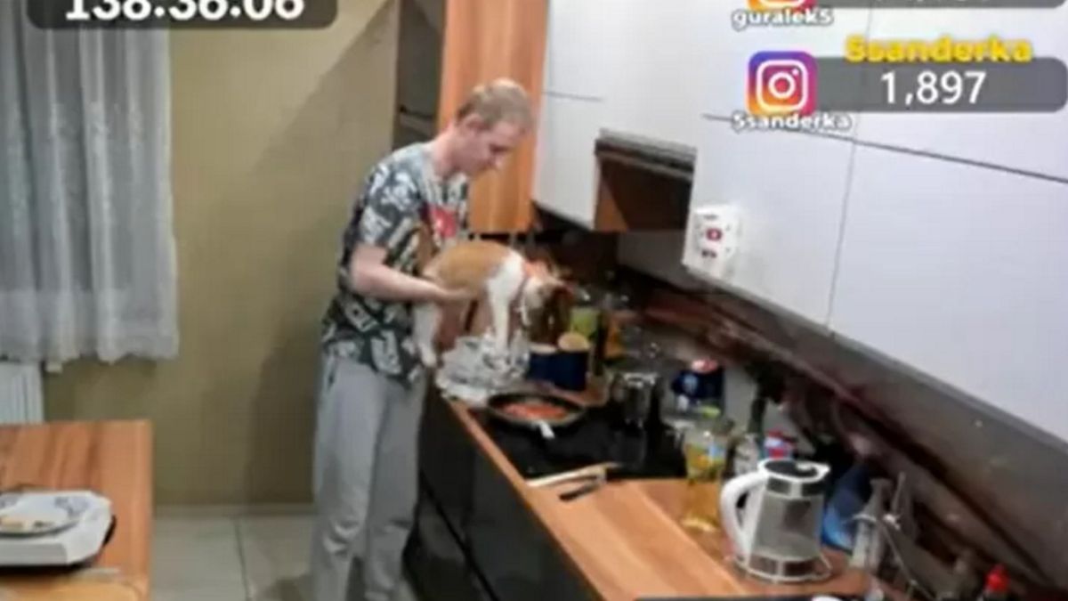 "Gural" położył kota na rozfrzanej patelni