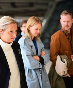 Trzęsienie ziemi po decyzji kontrwywiadu ws. AfD. Media komentują