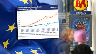 Polacy w UE wciąż są pariasami? Mają powody, żeby tak o sobie nie myśleć [ANALIZA]