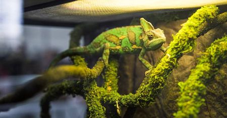 ZOO Park w Targach Lublin za nami [DUŻO ZDJĘĆ]