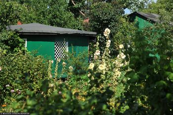 Zrobisz to na działce, więcej na nią nie wejdziesz. Bolesne sankcje