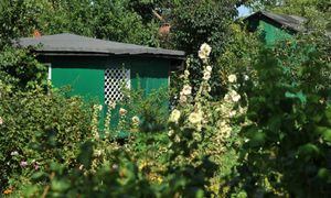 Zrobisz to na działce, więcej na nią nie wejdziesz. Bolesne sankcje