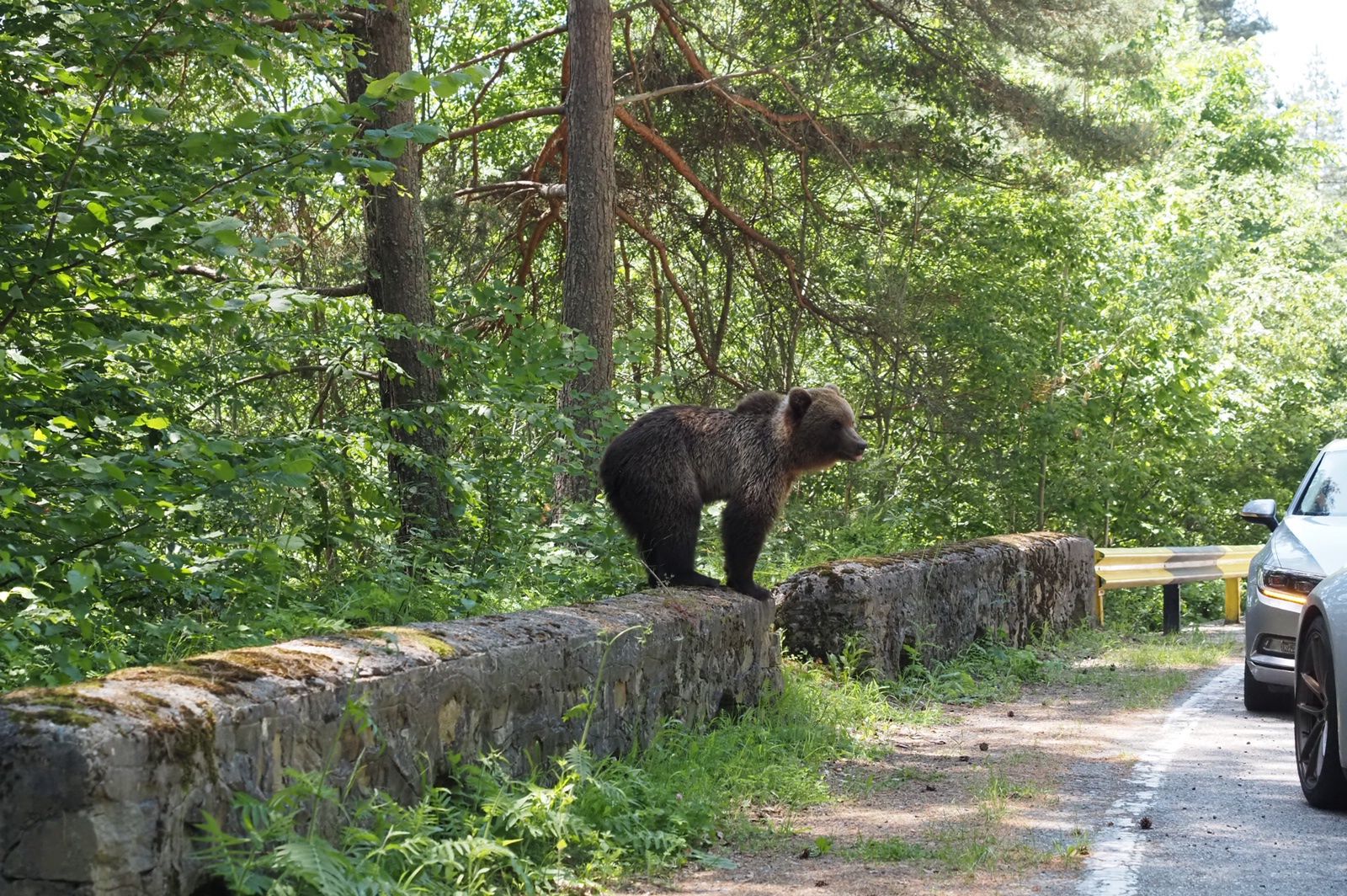 Nie jest to fotomontaż!